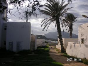 Arrivée de l'automne sur Tipaza