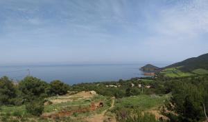 La Région de Doumia à Tipaza