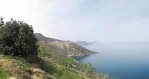 Dans la région de Beni Haoua (Tipaza)