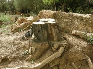 Sculpture sur Bois dans la Cité Romaine de Tipaza