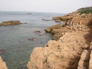 Tipaza Ruines Romaines