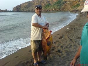 Pêche à la ligne sur une plage de Tipaza