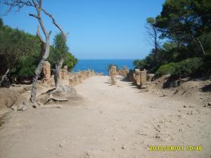 Tipaza, Les Colonnes Romaines