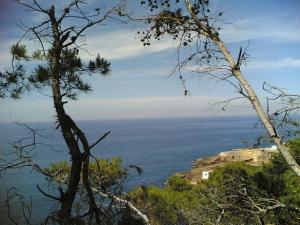 Une vue de la Corne d'or (Tipaza)