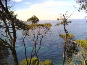 Rive gauche d'une plage de Tipaza