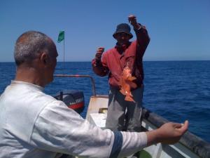 Pêche à la ligne à Tipaza