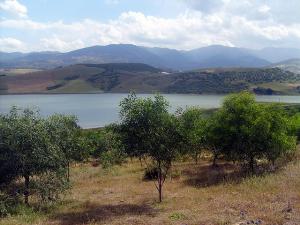 Un Lac de Tipaza