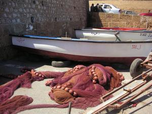 Filets de pêche, Tipasa, Algérie
