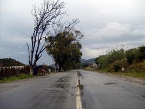 Route pluvieuse de Gouraya (Wilaya de Tipaza)