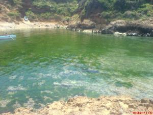 Près de Tagourait, Tipaza