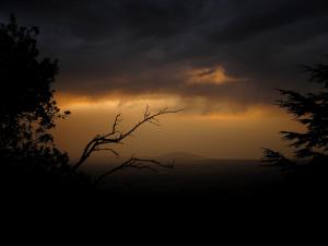 Le Mont Chenwa (Wilaya de Tipaza)