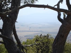 Commune de Sidi Rached à Tipaza
