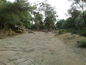 La Cité Romaine de Tipaza