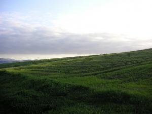 Paysage de Sidi Rached (Tipaza)