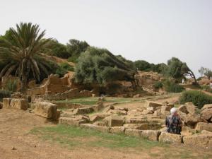Tipaza Ruines Romaines