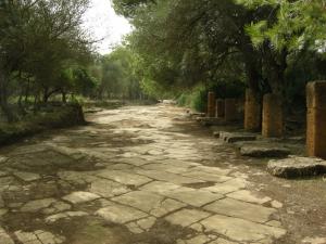 Une Allée dans la Cité Romaine de Tipaza