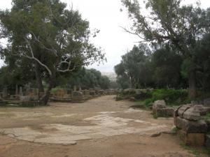 La Cité Romaine de Tipaza