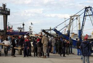 Le Port de Pêche à Tipaza