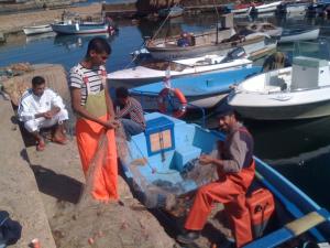 Port de Pêche à Tipaza