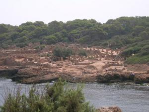 Civilisation de Rome à Tipaza