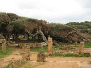 Monuments Romains de Tipaza