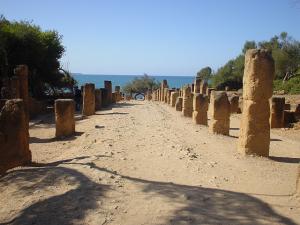 Les Colonnades Romaines de Tipaza