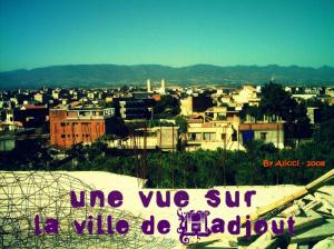 Une vue général sur la ville de Hadjout depuis le chantier des 309 lgts