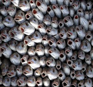 Marché de Poisson sur le Port de Tipaza