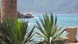 Vue sur la plage depuis les ruines Romaines (Tipaza)