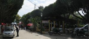 Une Allée de Tipaza