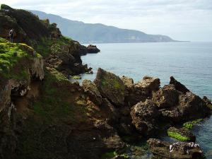 La Côte de Tipaza