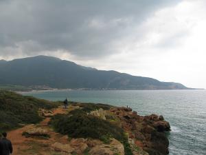 La Côte de Tipaza