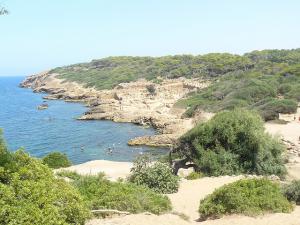 Une Plage de Tipaza