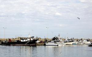 Le Port de Pêche de Tipaza