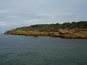 Parc Naturel de Tipaza