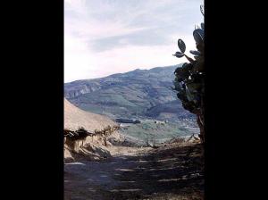 OUED-HAMLIL - ZEBOUDJA (Chlef)