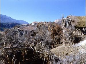 OUED-HAMLIL - ZEBOUDJA (Chlef).