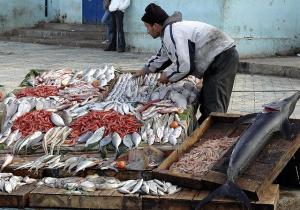 Marché de Poisson au Port de Tipaza