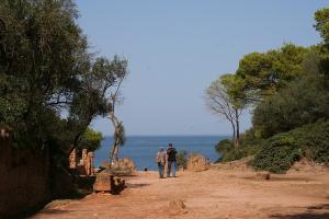 Ruines Romaines de Tipaza