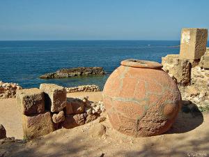 Patrimoine romain de Tipaza