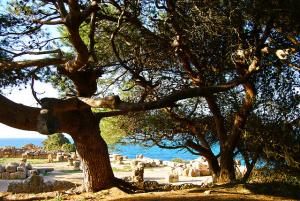 Patrimoine Romain de Tipaza