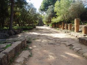 Ruines Romaines de Tipaza