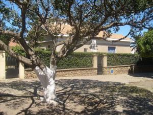 Un Quartier dans la commune de Gouraya (Wilaya de Tipaza)