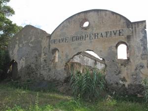CAVE cooperative DE Damous (période coloniale)