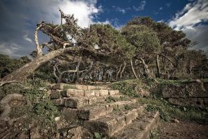 Escaliers datant de l'époque romaine à Tipaza