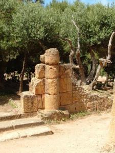 Tipaza Colonne Romaine