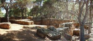 Tipaza Arbres parmis les Ruines Romaines