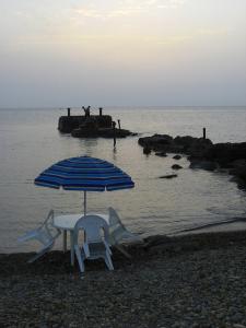 Rivage d'une Plage à Gouraya (Tipaza)