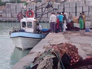 Port de Pêche de Tipaza