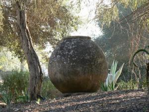 Jarre Millénaire datant de l'époque Romaine à Tipaza